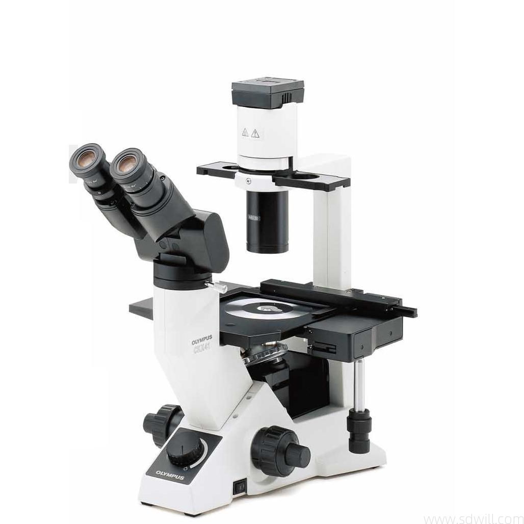 奥林巴斯倒置显微镜CKX41